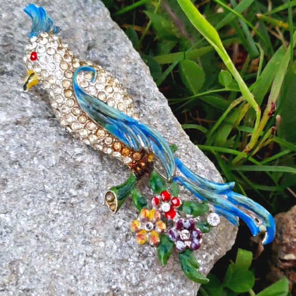 Rare 1940s Colorful Bird Duette Enamel Fur Clip - Picture 2 of 12